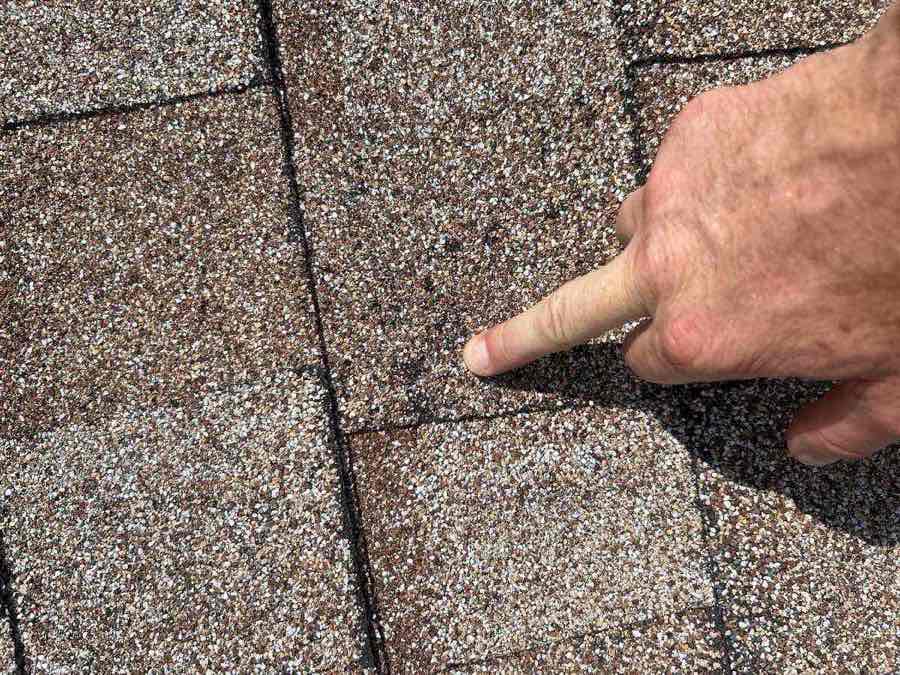 Inspector pointing at granule loss on TAMKO shingles — Oviedo, FL
