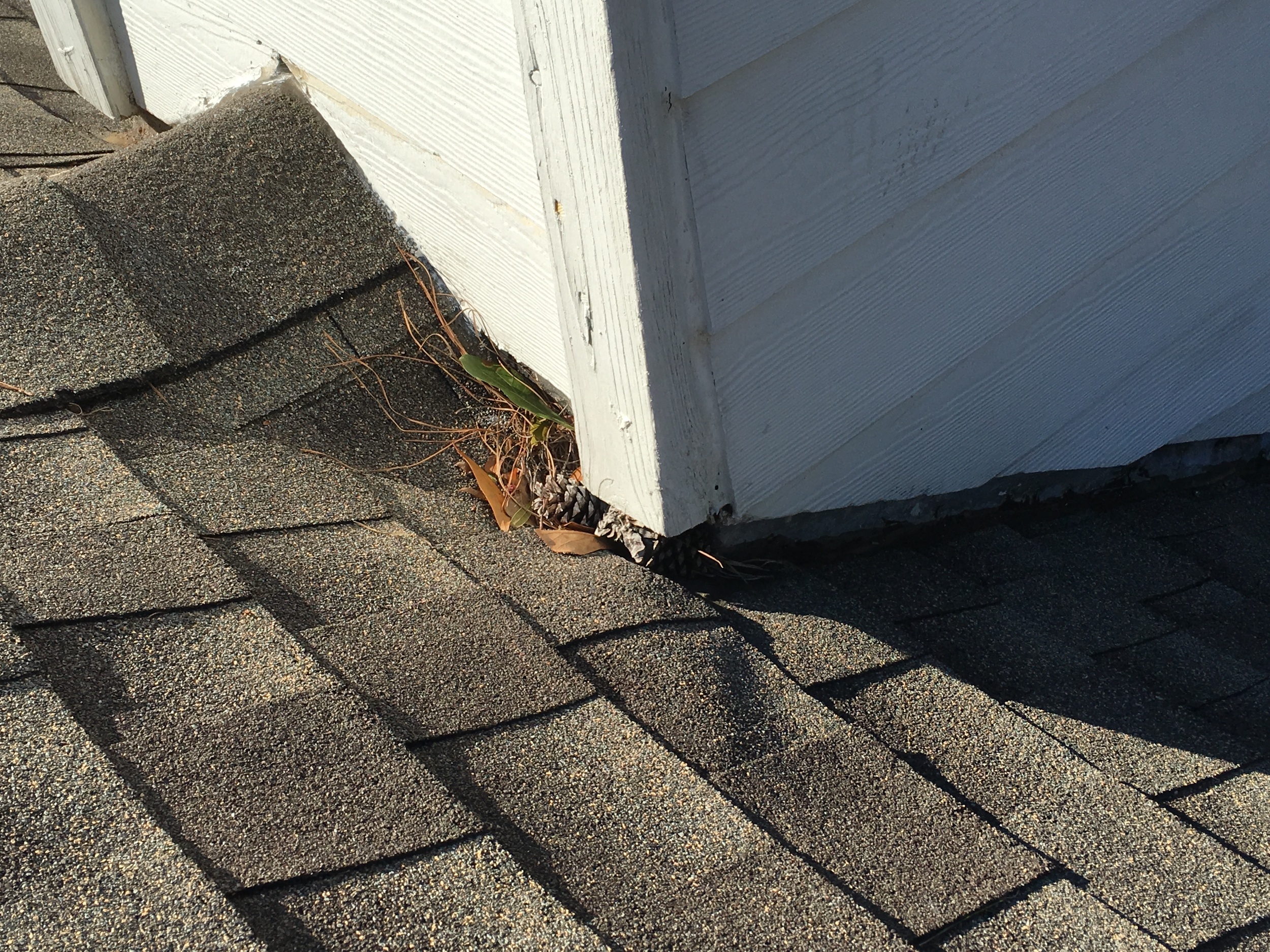 Jacksonville Roofers | Jacksonville Roofing Contractors | A+ Roofer